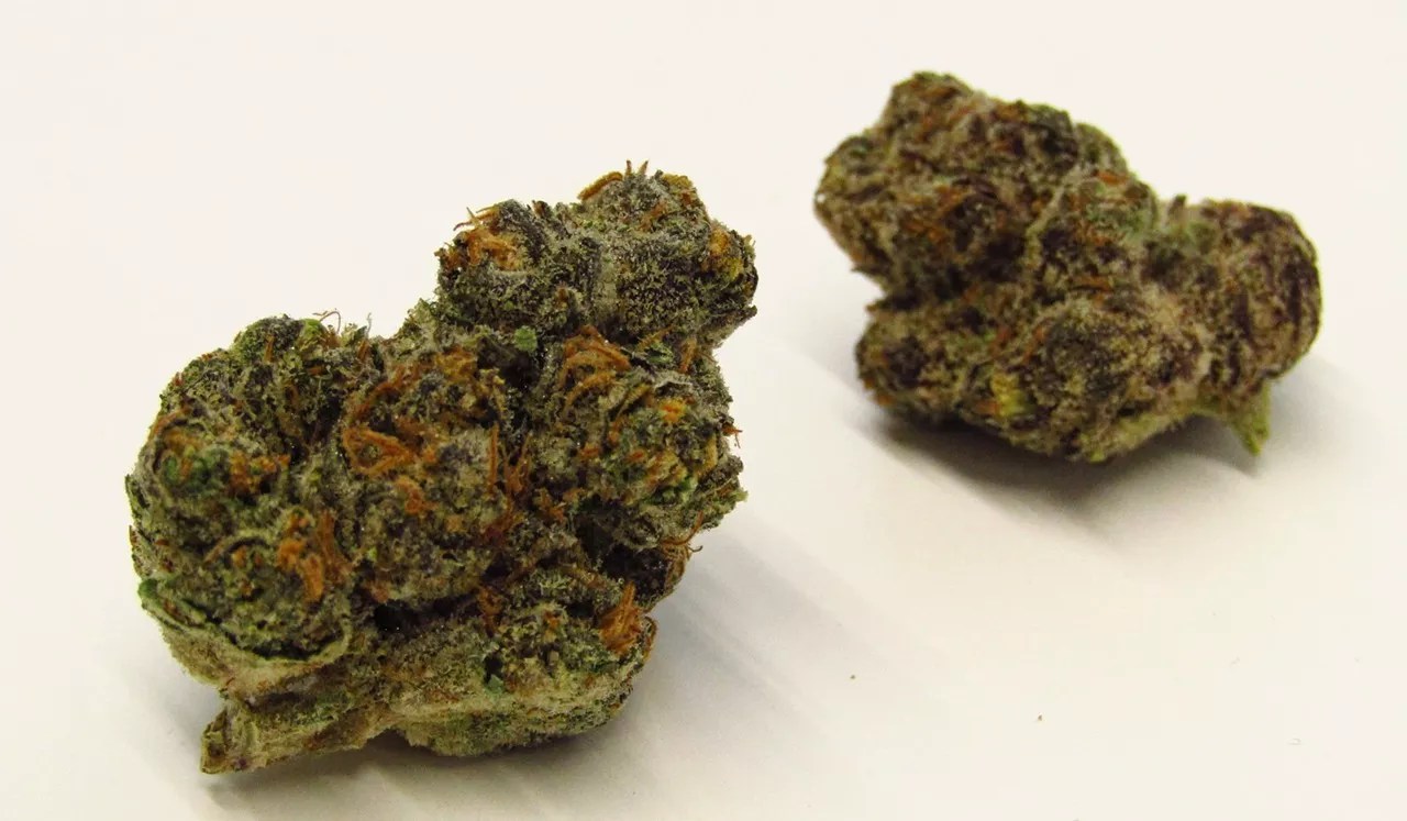 Cannabis buds of the strain Candy Apple