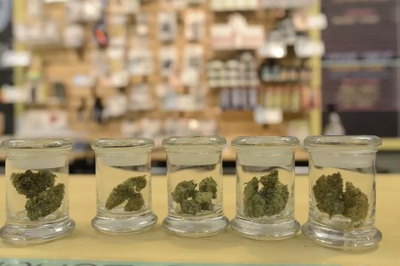 Buying Weed in Denver? Visit These Dispensaries.
