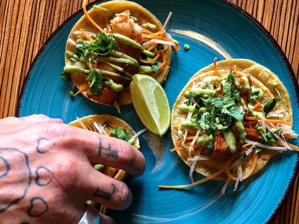 tacos on a blue plate
