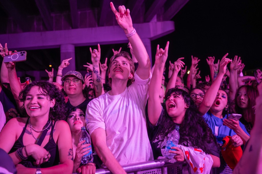 people at a concert