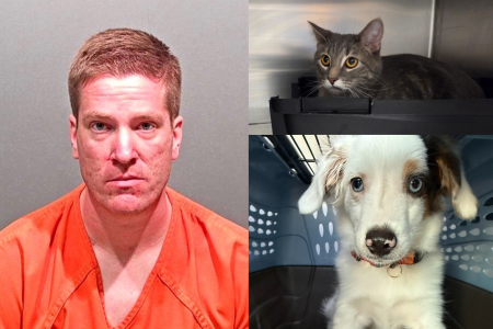 Arvada Man Arrested in Death, Abuse of Several Pets