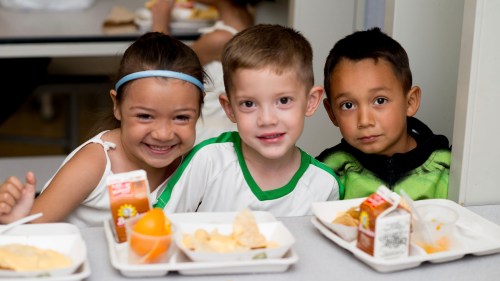 There's No Such Thing as a Free School Lunch