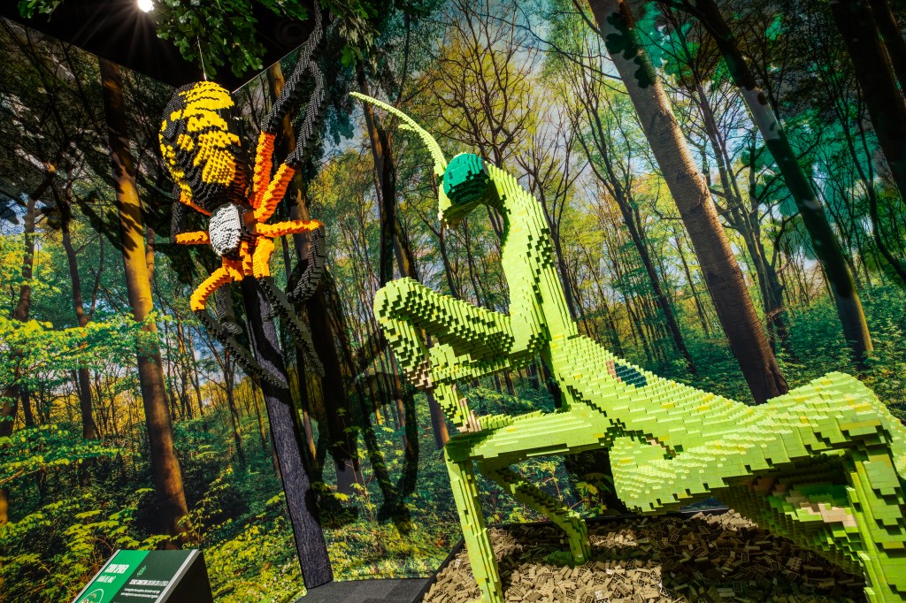 A spider and praying mantis made with LEGOs.
