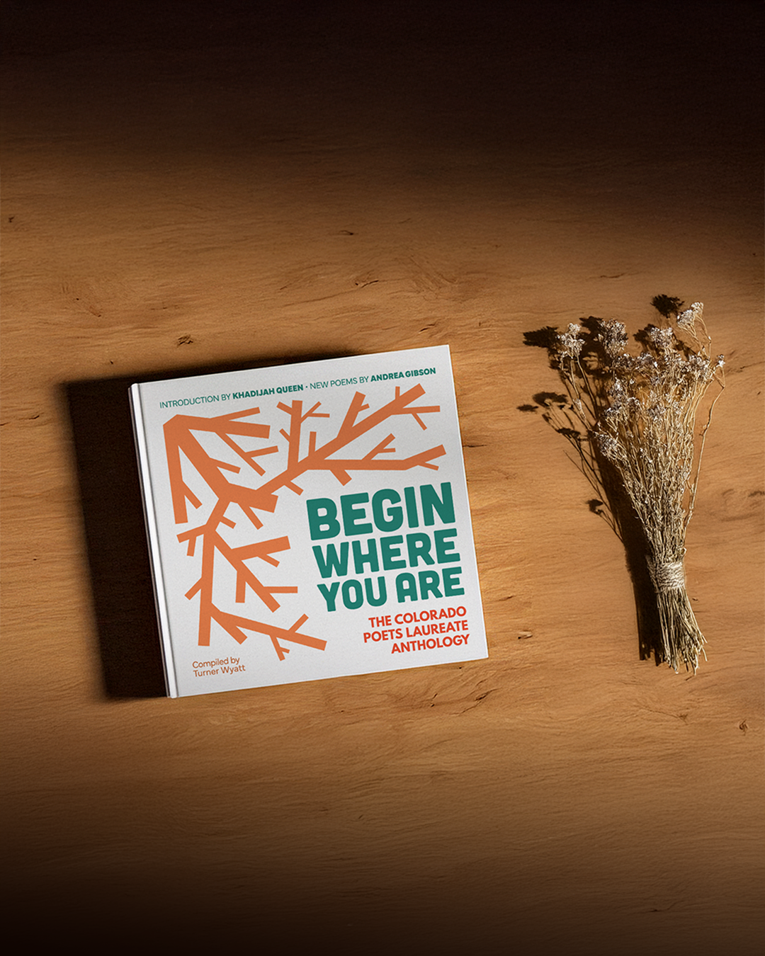 A book next to some dried plants