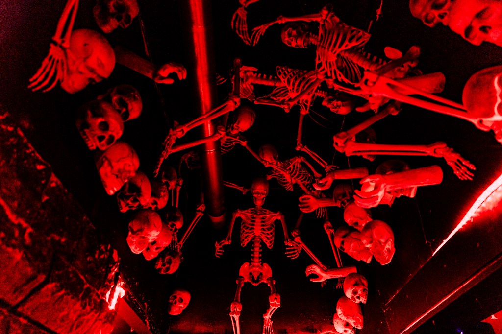 Skeletons covered the ceiling at The Crypt.