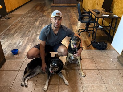 New Dog-Themed Dive Bar Opening Downtown in 2026