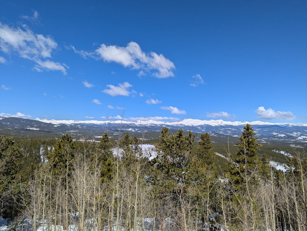 An area with long grass