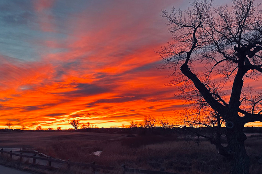 Was Nextdoor on the Money With Denver’s Friendliest Neighborhood?