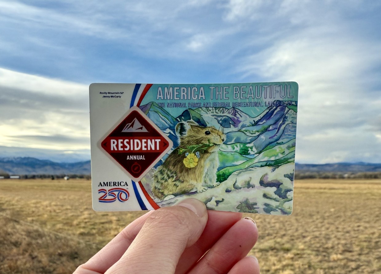 Trumped: Artist Solves a Sticky Situation for National Parks Pass