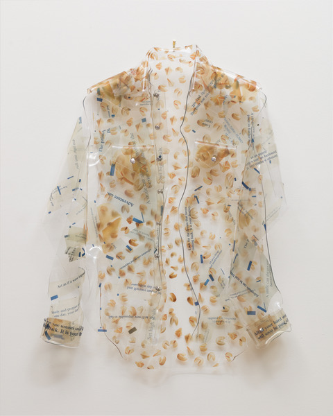 A shirt with fortune cookies on it made of plexiglass