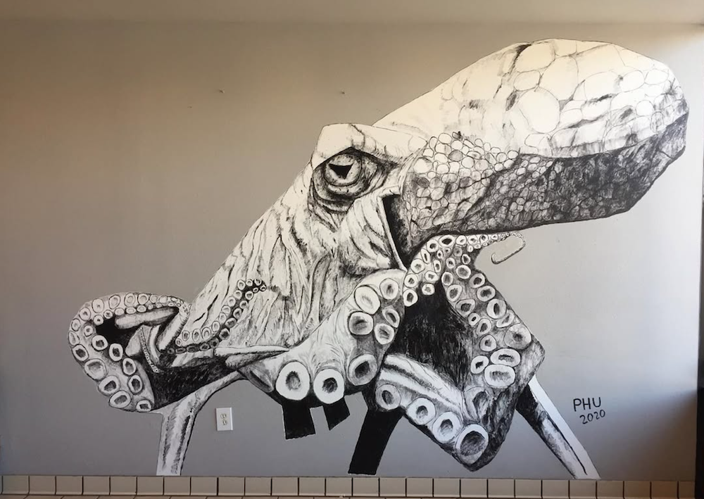 a squid wall mural