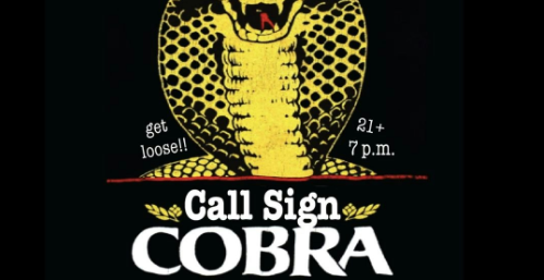 Call Sign Cobra