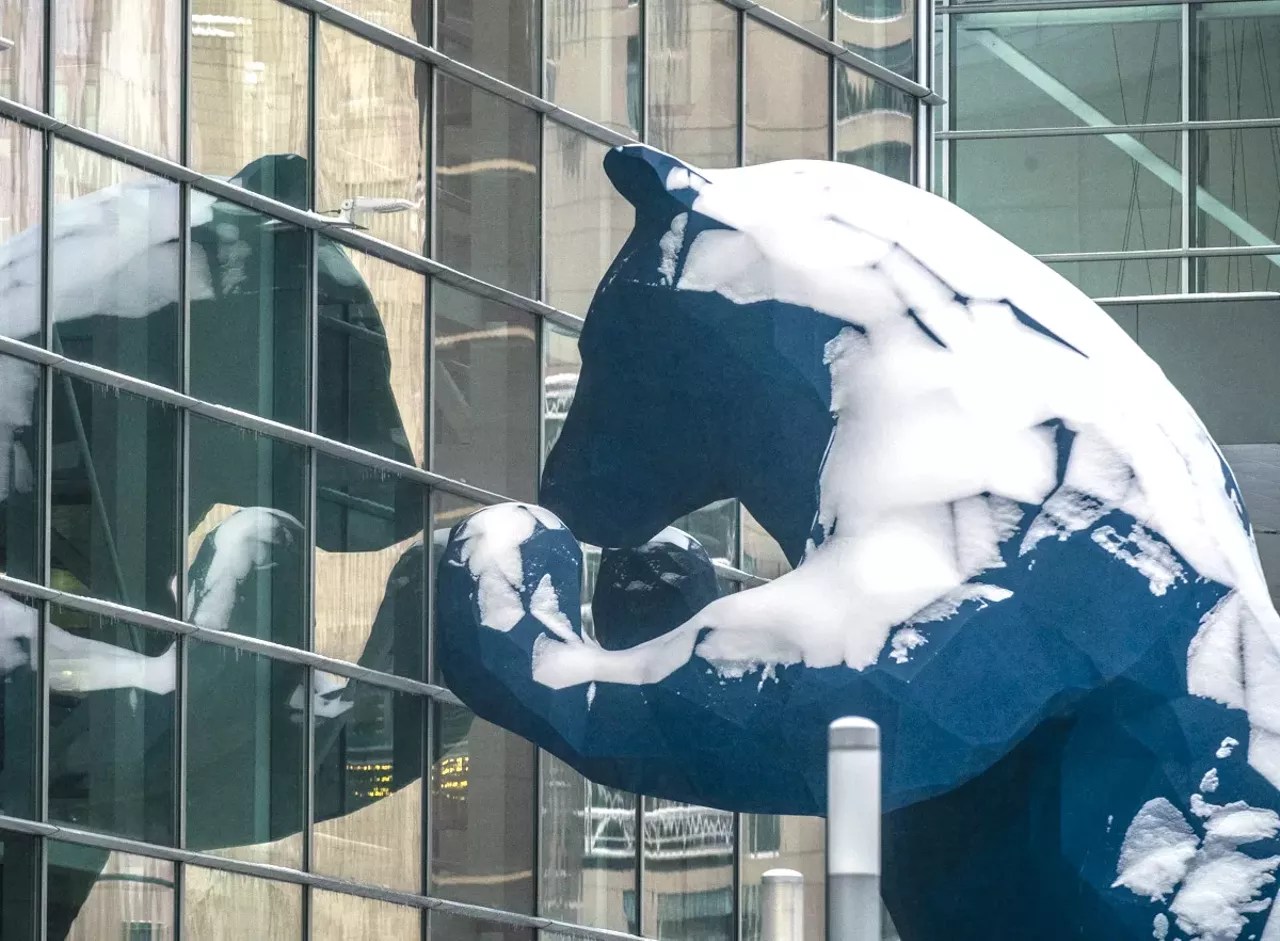 snow on the blue denver bear downtown
