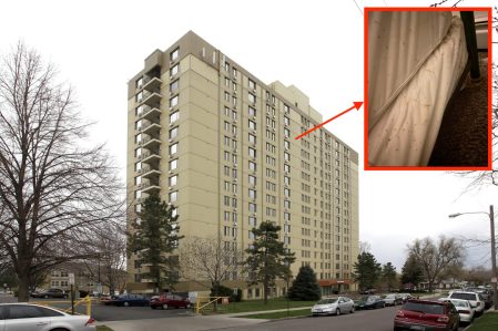 Denver Senior Home Infested With Bedbugs for Year