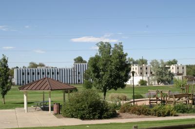 Lakewood Flock contract raises residents' antenna
