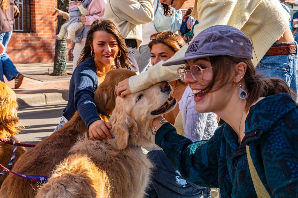 Women taking a group picture with a golden retriever during the annual Golden's in Golden event.