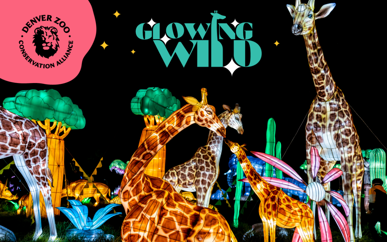 Enter to Win 2 Passes to Glowing Wild at the Denver Zoo Conservation Alliance!