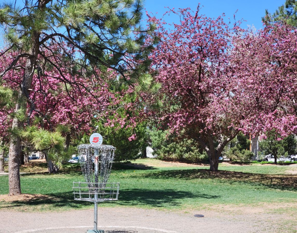 Colorado Is Home to the Most Popular Disc Golf Course in the U.S.