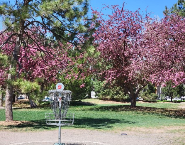 Colorado Is Home to the Most Popular Disc Golf Course in the U.S.