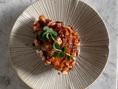 Rising Chefs Star in Up NXT DEN 