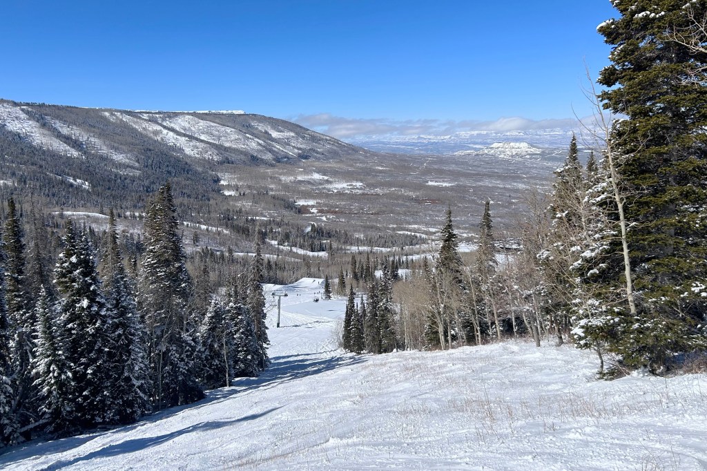 Aspens and evergreen trees on either side of a ski trail at Powderhorn on a clear day