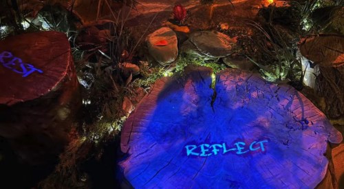 Prismajic Ousted from Colorado Mills Mall