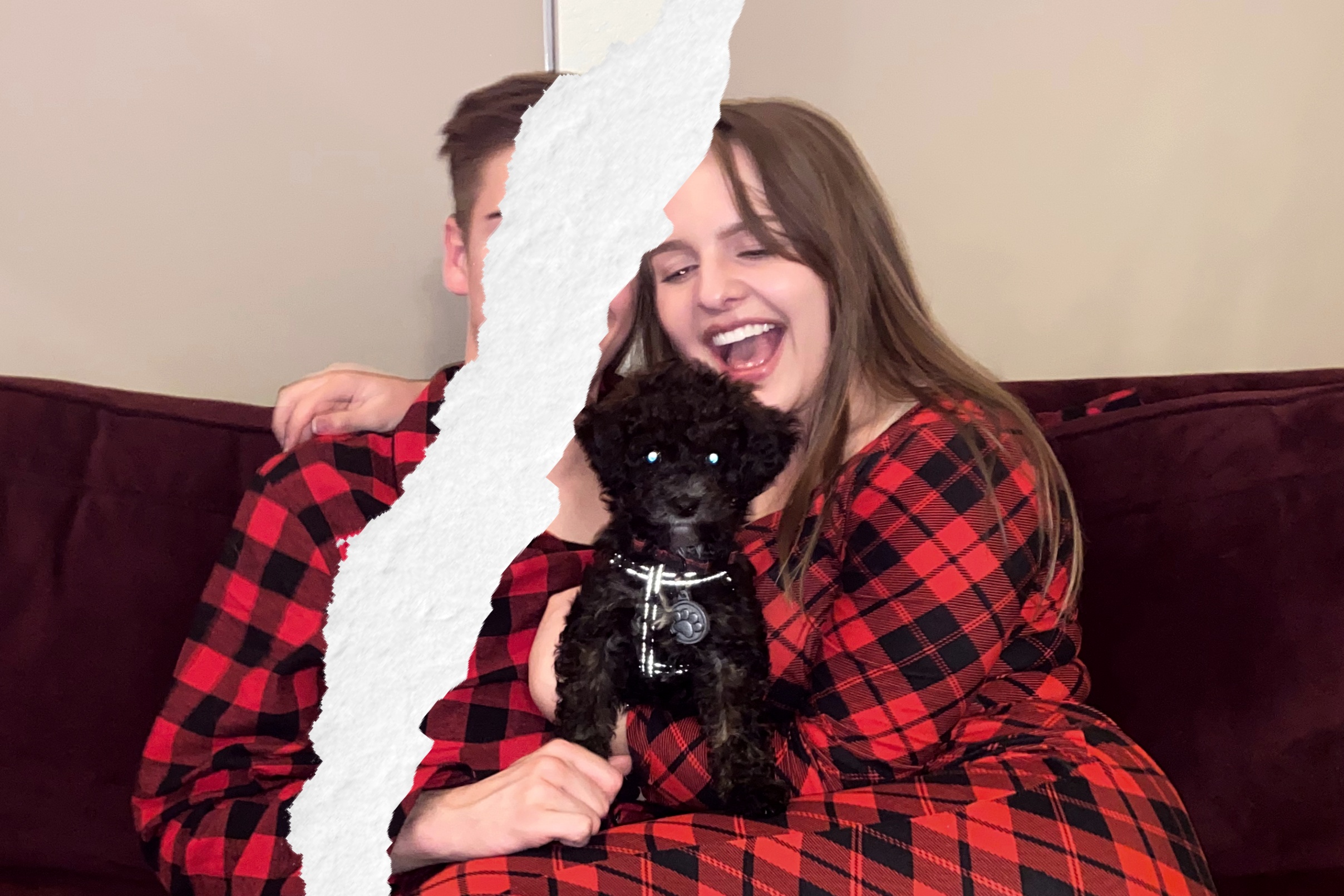 Colorado lawmakers have advanced a bill to establish legal standards for pet custody rulings, directing courts to consider the animals' best interests.