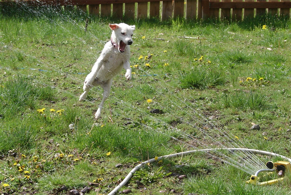 Denver to Increase Water Prices Amid Drought. Here’s How It Will Affect You.