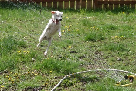 Denver Water's Upcoming Drought Pricing Explained