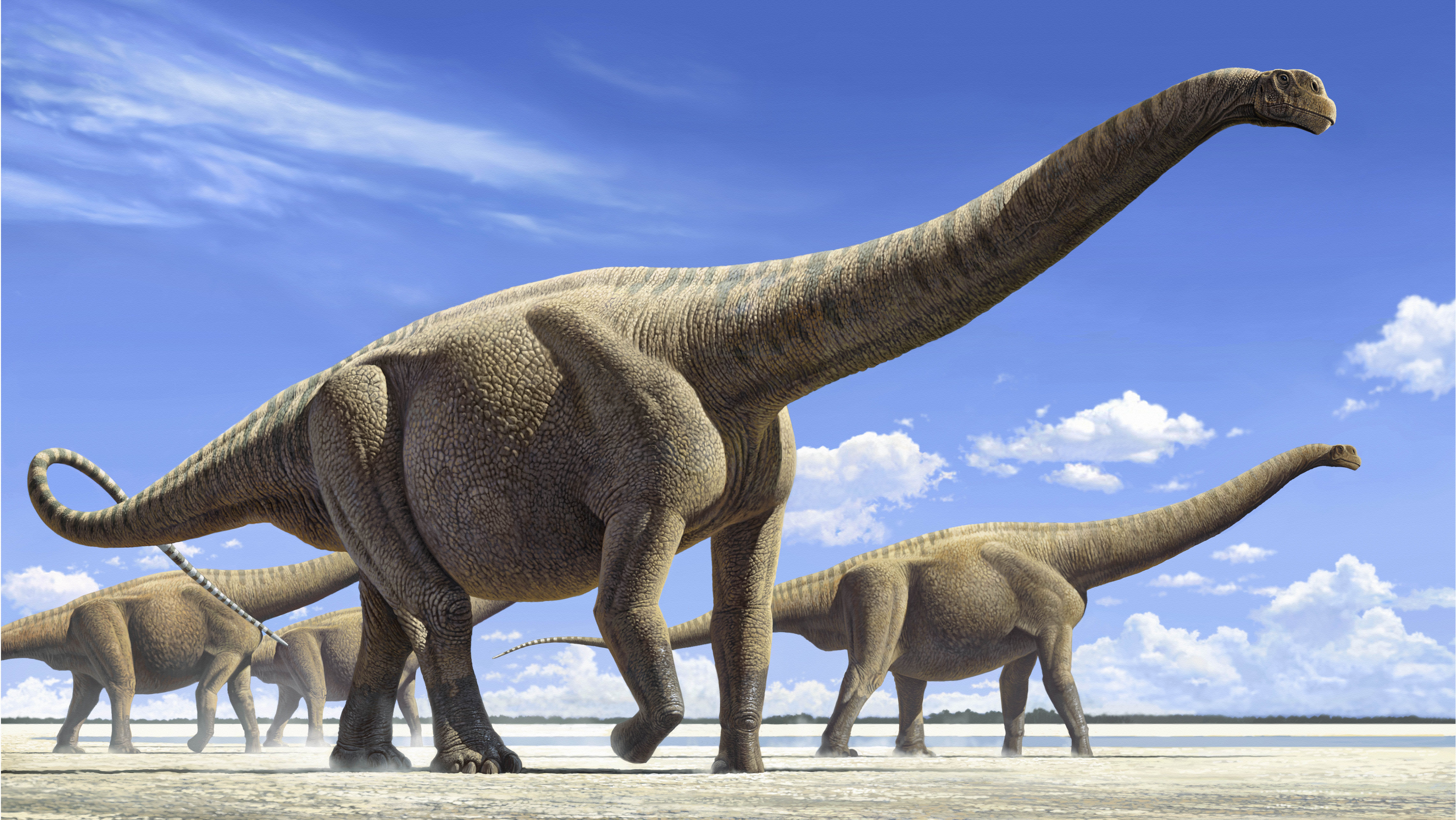 A painting of an Argentinosaurus for Denver Museum of Nature & Science's new exhibit, "The World's Largest Dinosaurs."