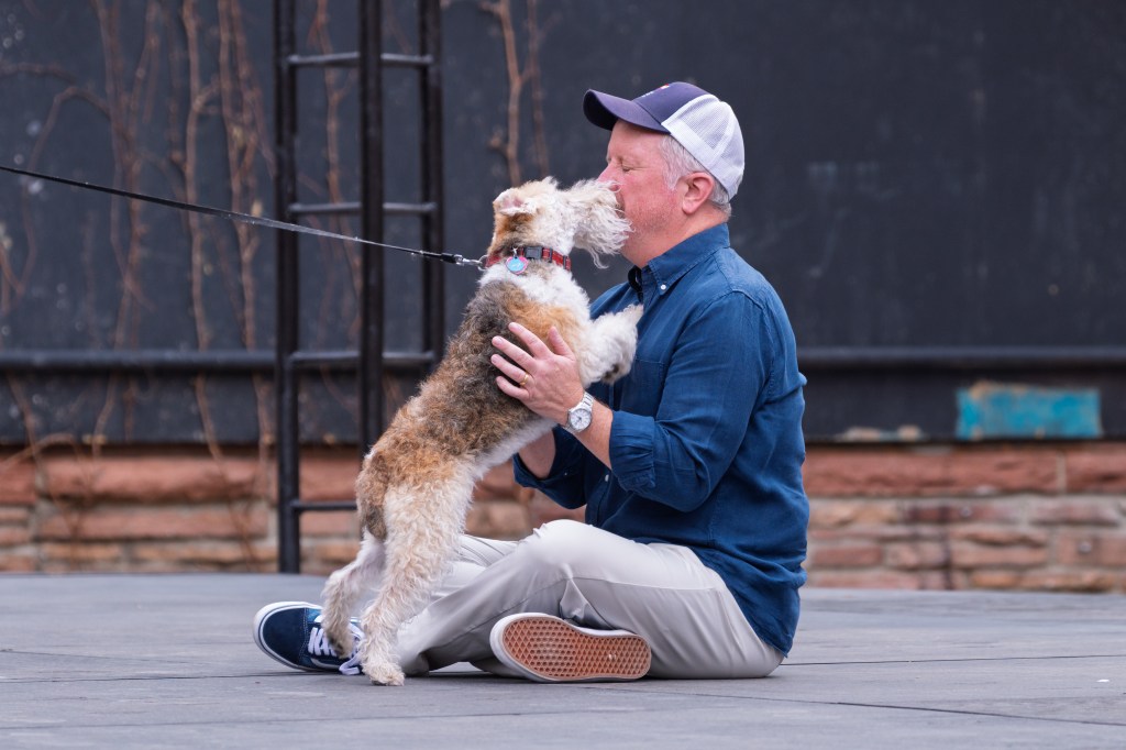 Dog auditions on an outdoor stage
