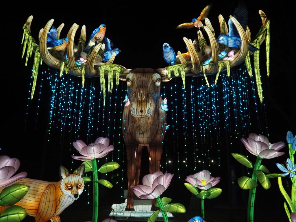 A huge lantern moose at Glowing Wild