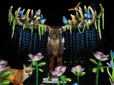 Things to Do in Denver This Weekend