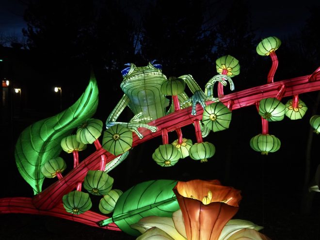 Photos: Glowing Wild Now Illuminating the Denver Zoo