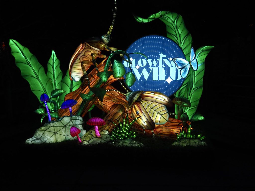 A scene with grass, bugs and mushrooms at Glowing wild