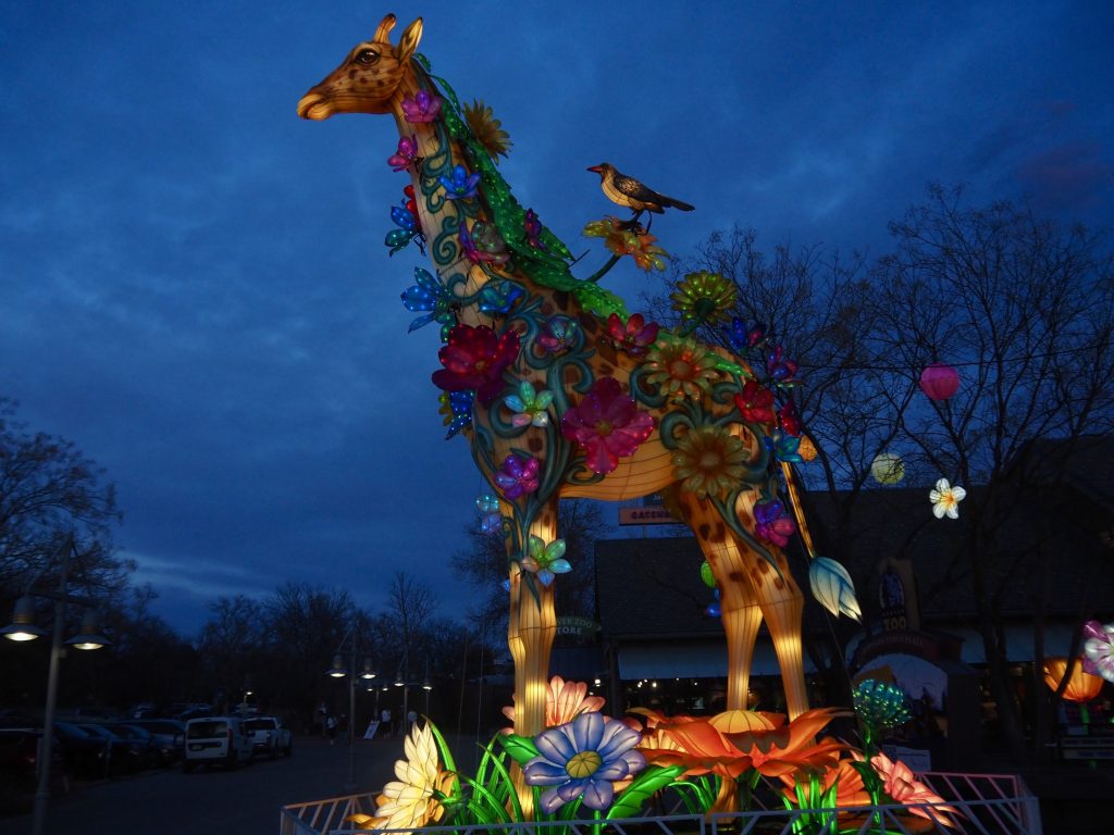A huge lantern giraffe at Glowing Wild