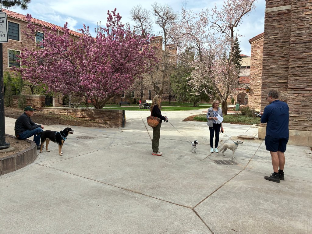 People with their dogs stand outside at CU Boulder.