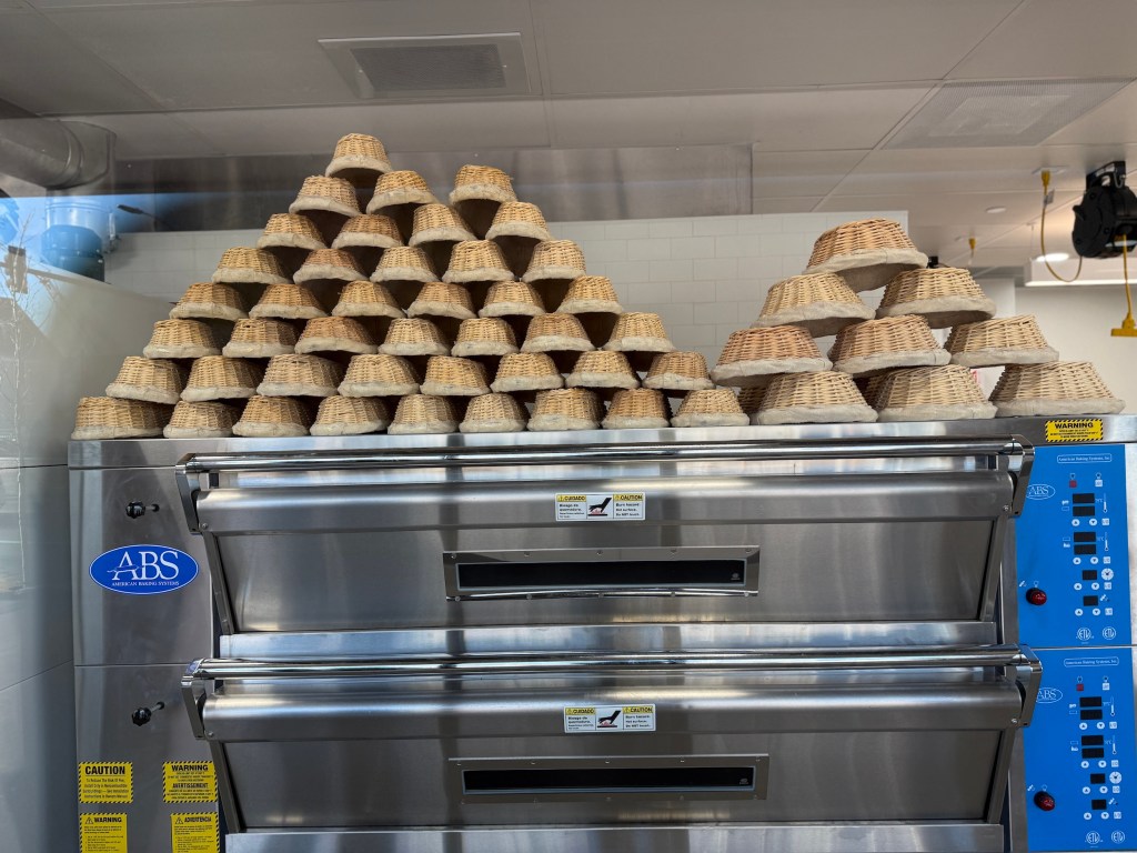 bread proofing baskets and oven