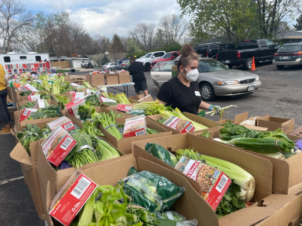 boxes of fresh vegetables