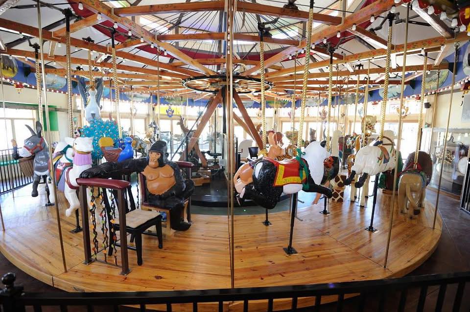 Free Things to Do in Denver (and Beyond) This Week