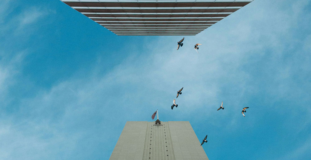 looking up at two office buildings