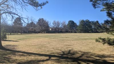 Zoning Updates and Housing Affordability Are Headed to the Ballot in Lakewood