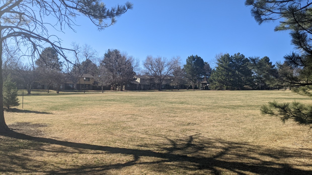 grassy park with homes in the background in Lakewood