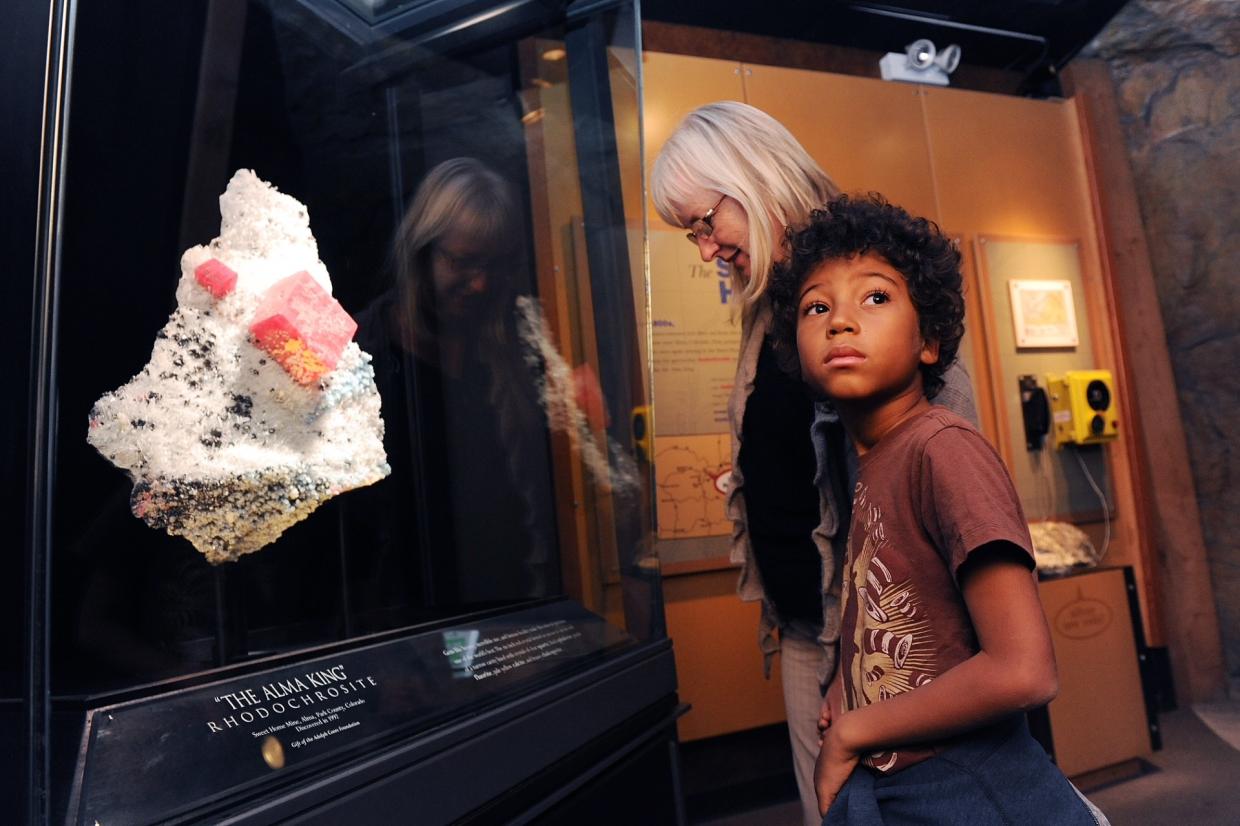 A boy and woman look into a display case at DMNS