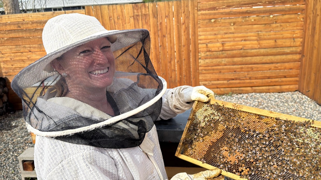 a beekeeper holding bees