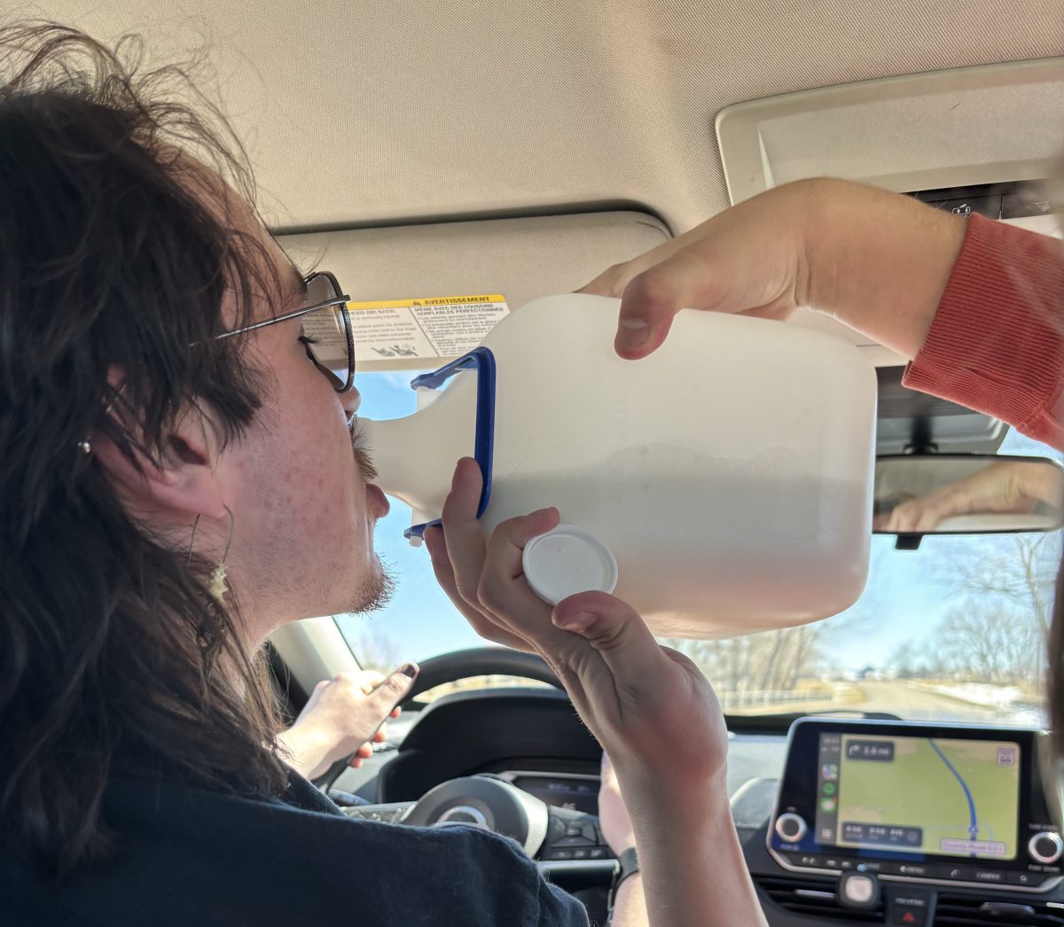 man chugs gallon of milk while driving