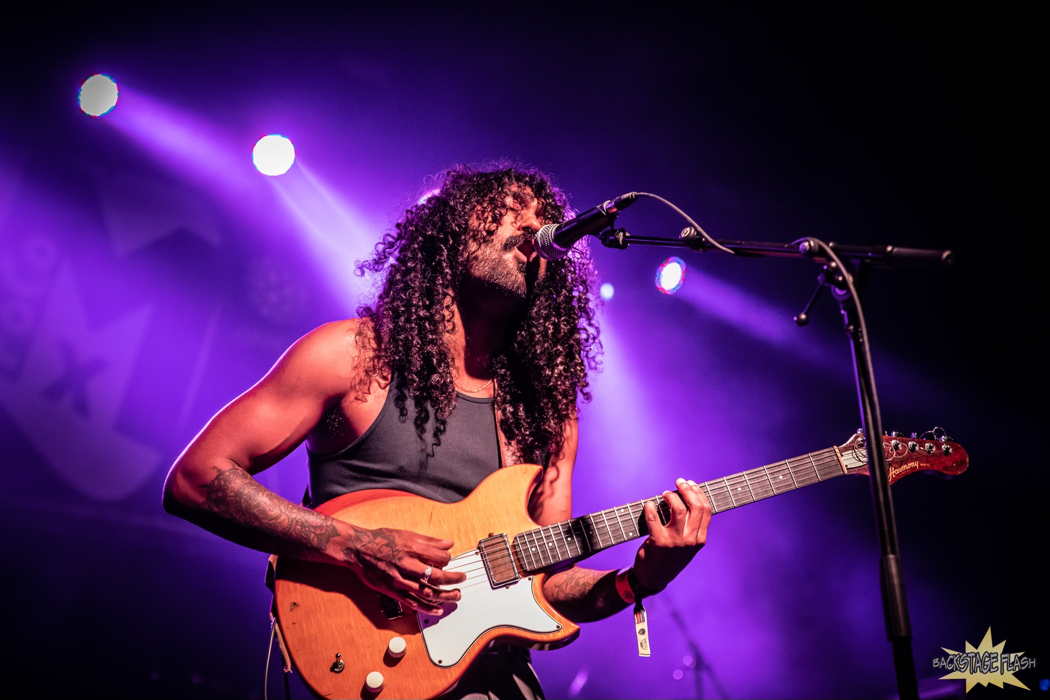 Shadow Work performing at FoCoMX.