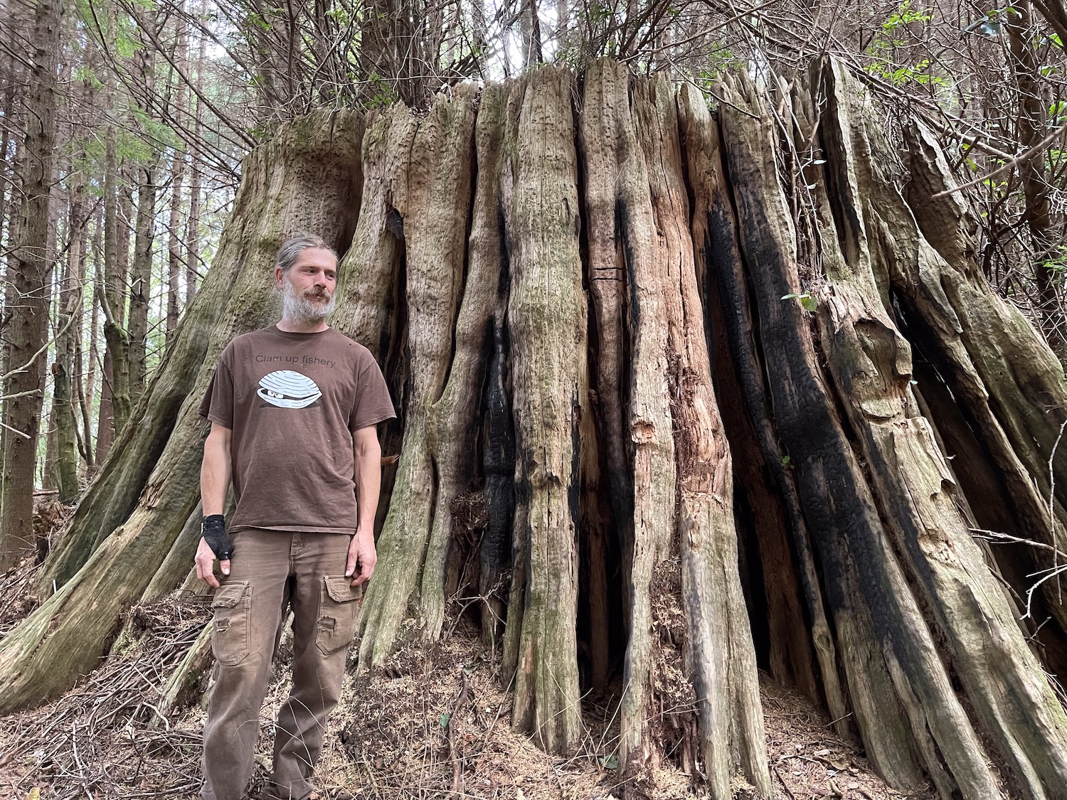 man standing by giant trees