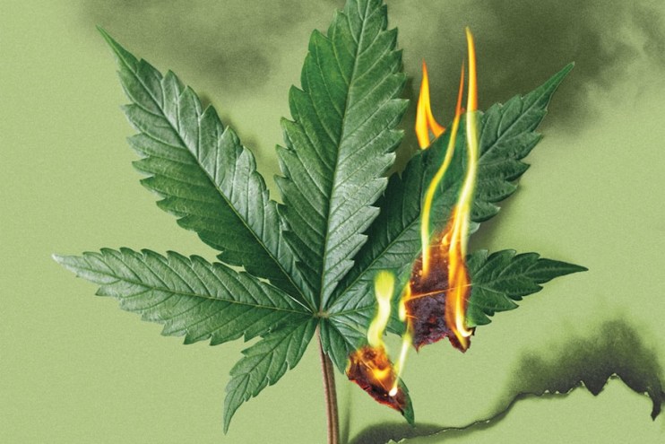 Smoke Alarm: Is Colorado's Cannabis Industry Burning Out?