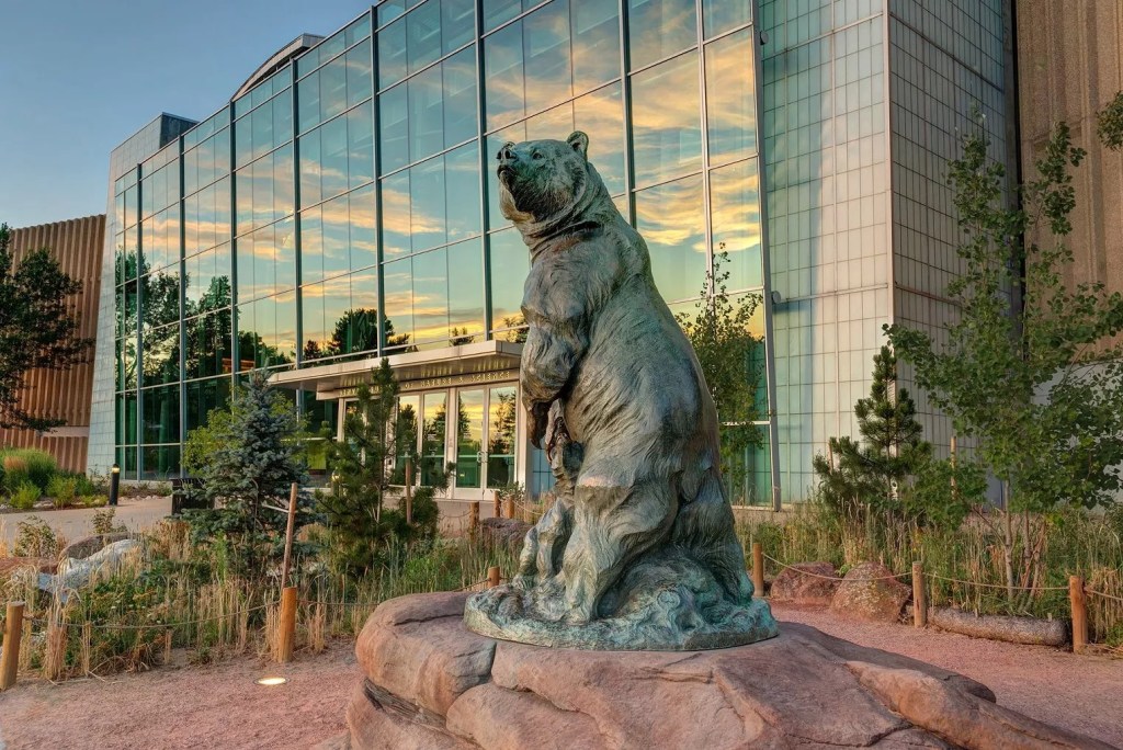 bear statue by museum
